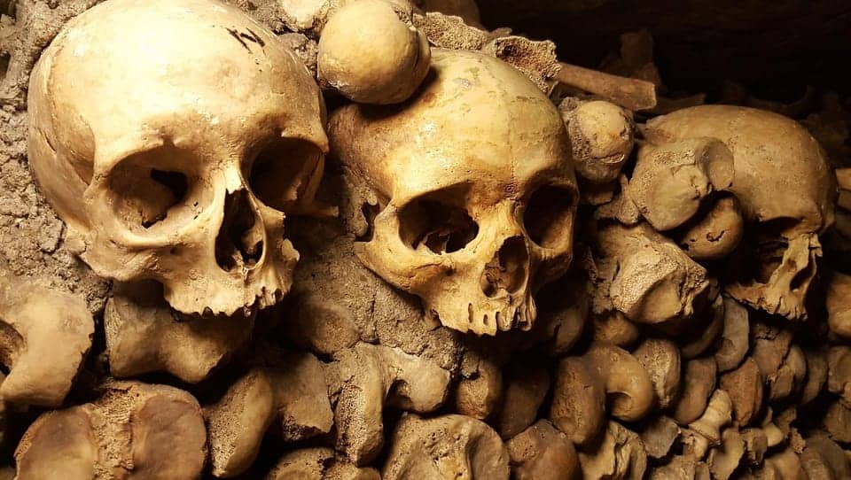 Skull into the wall inside the catacombs of Paris