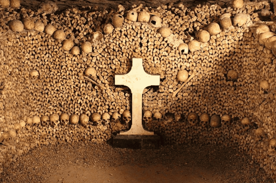 Beatiful ride Siene cruise with catacombs Paris visit a perfect journey day